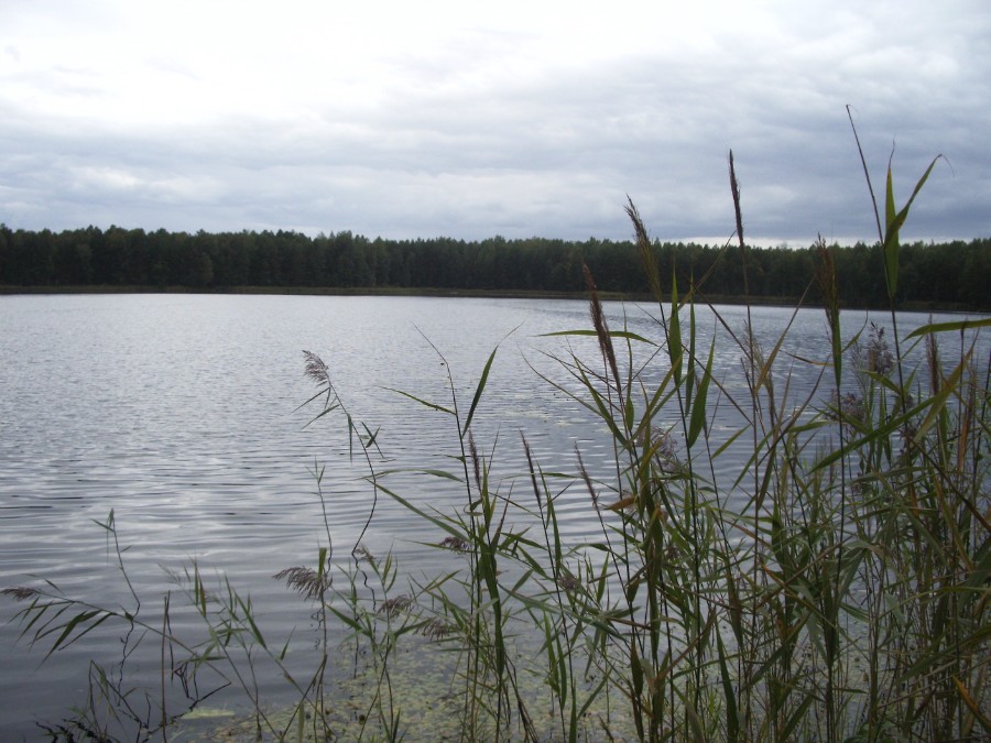 Озеро Поколево, фото 3