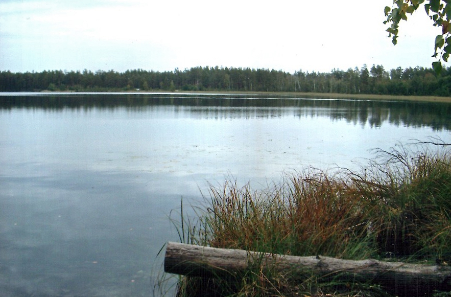 Озеро Свято (Святое Степуринское)