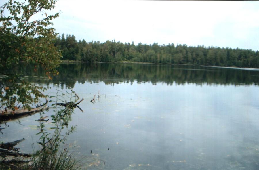 Озеро Свято (Святое Степуринское), фото 3