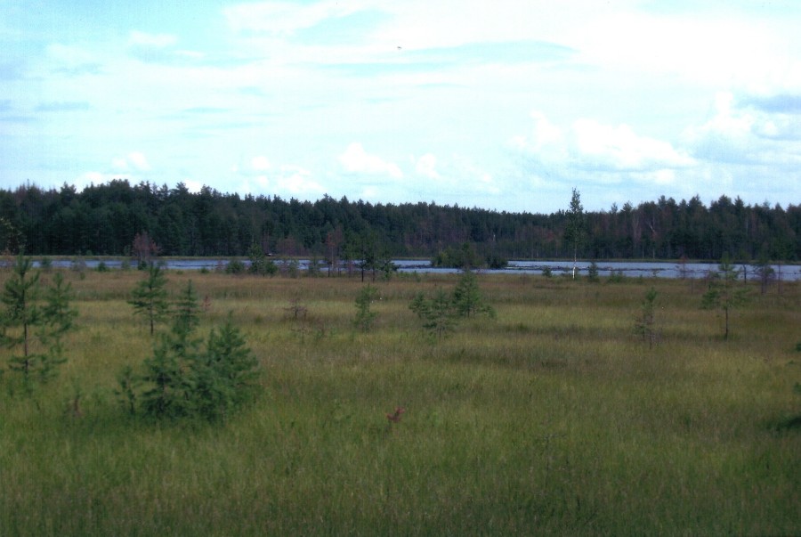 Озеро Разодейское в 3 км от Выксы
