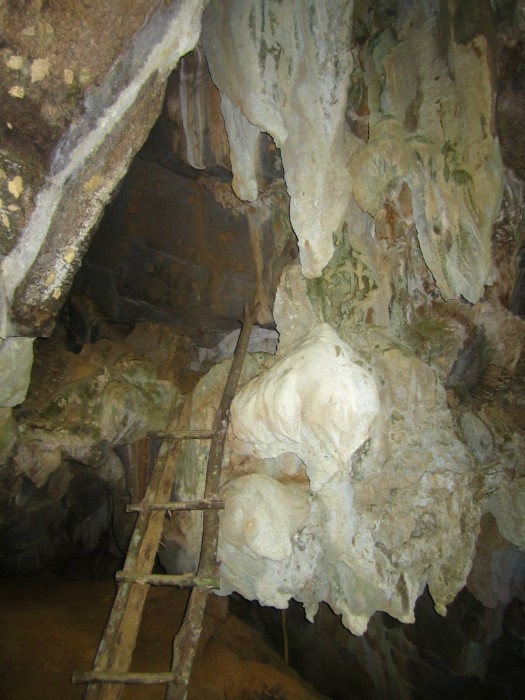 Tiger cave