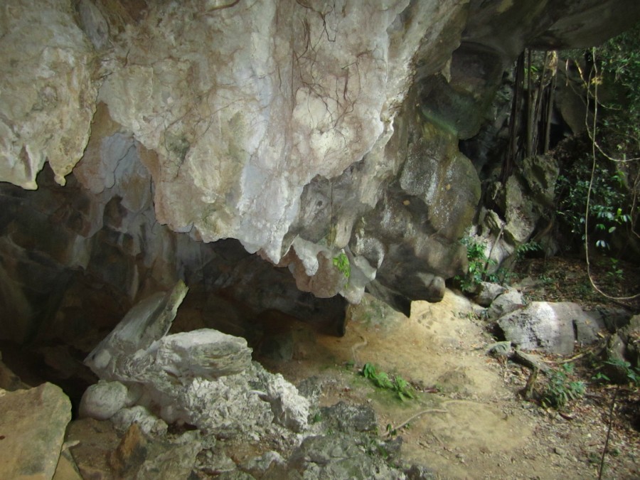 Tiger cave, 2