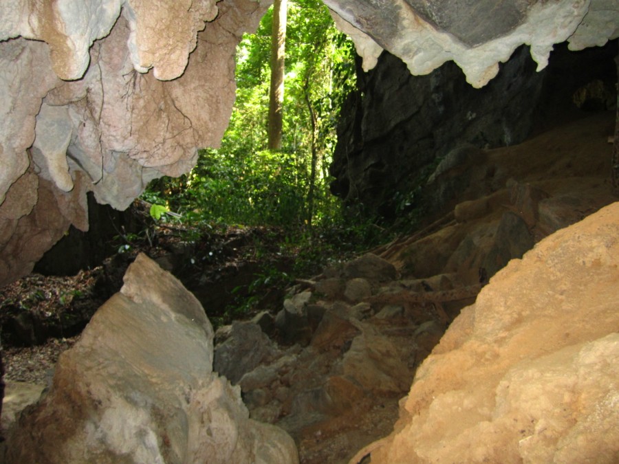 Tiger cave, 4