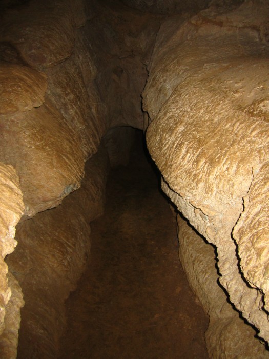 Tiger cave, 7