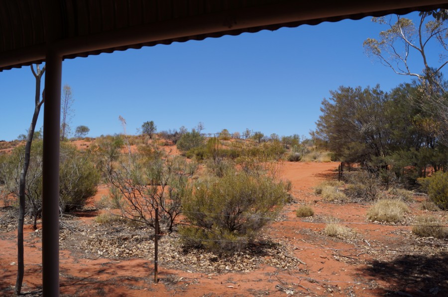Вид из задней двери бунгало на австралийскую пустыню, фото 2