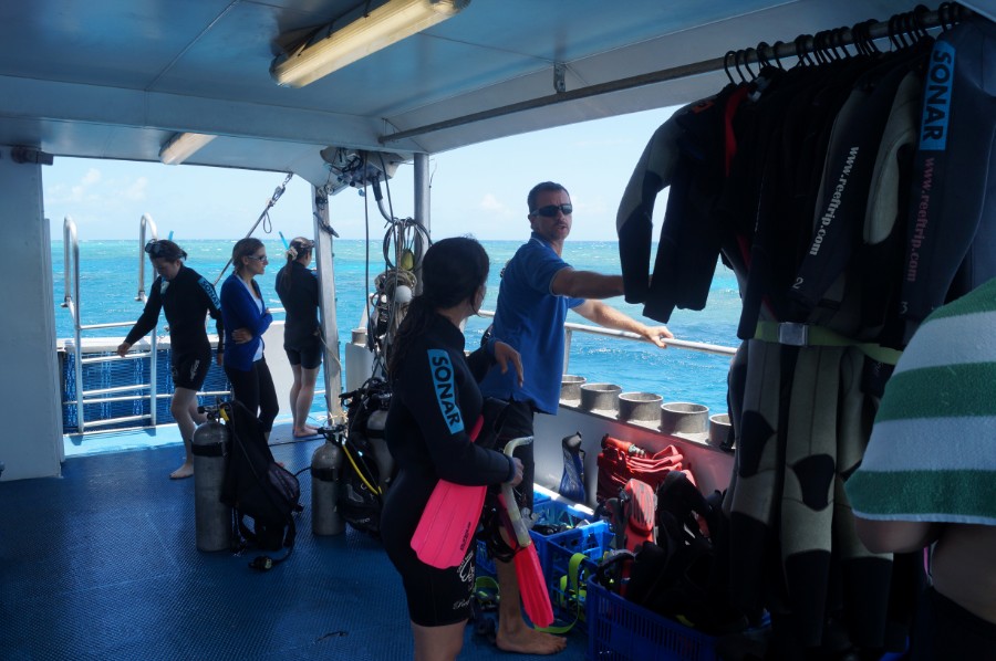 Экскурсия на Большой барьерный риф с погружениями с аквалангом, фото 2