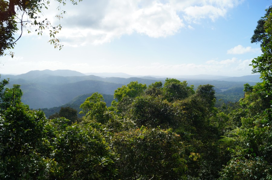 Горы и тропический лес в окрестностях Кэрнса