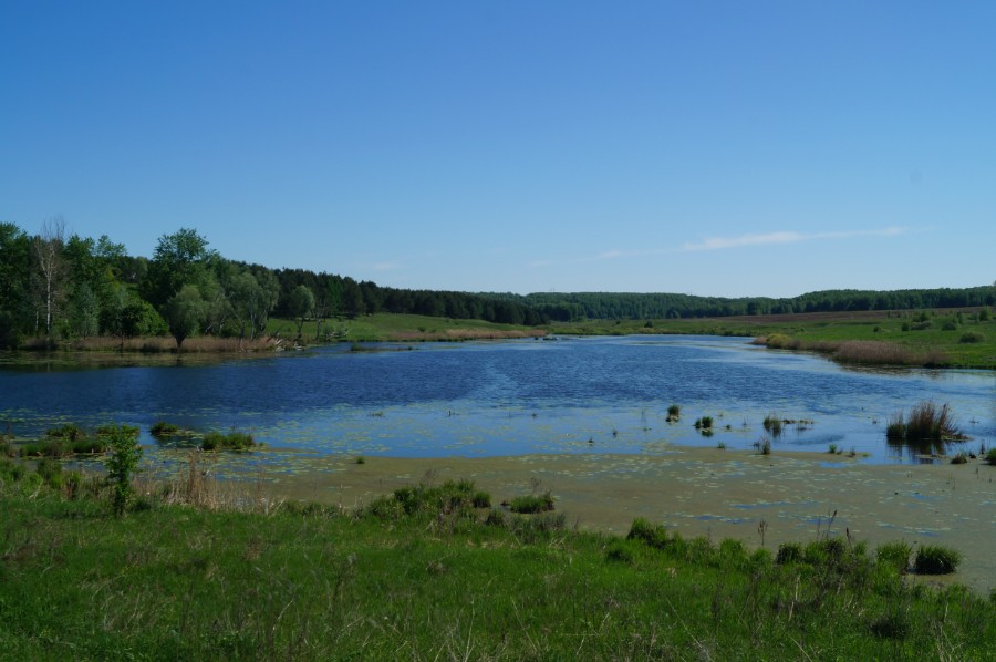 Озеро Глухое (Мякушки, Мякушинское)