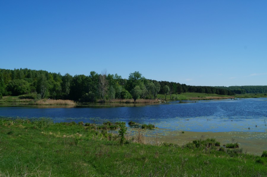 Озеро Мякушки, фото 2