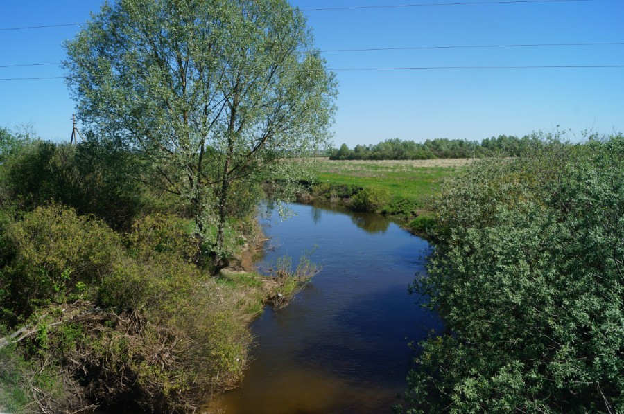 Река Кудьма с моста у деревни Крашево вниз по течению