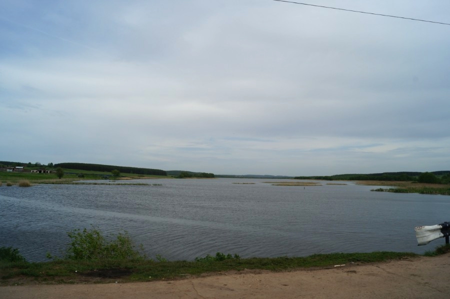 Вид на Инютинский пруд от моста по дороге Инютино - Касаниха