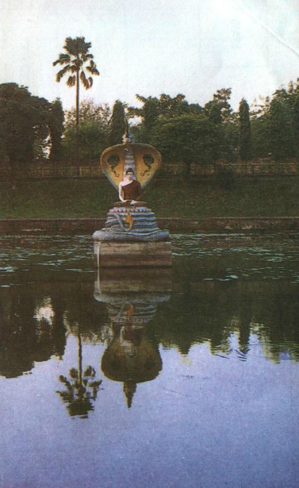 Озеро на территории храма Махабодхи, со скульптурой Будды и кобры