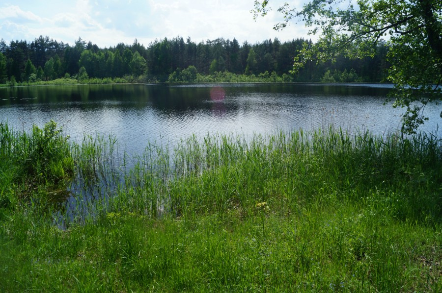 Озеро Подборное (Масленское). Фото с северо-восточной стоянки