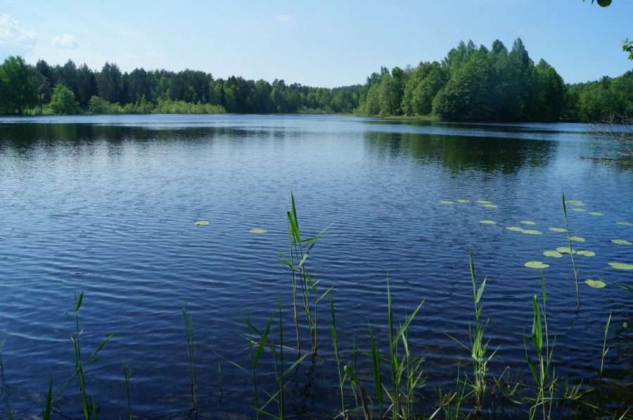 Вид на озеро  Подборное (Масленское) с северо-восточной стоянки