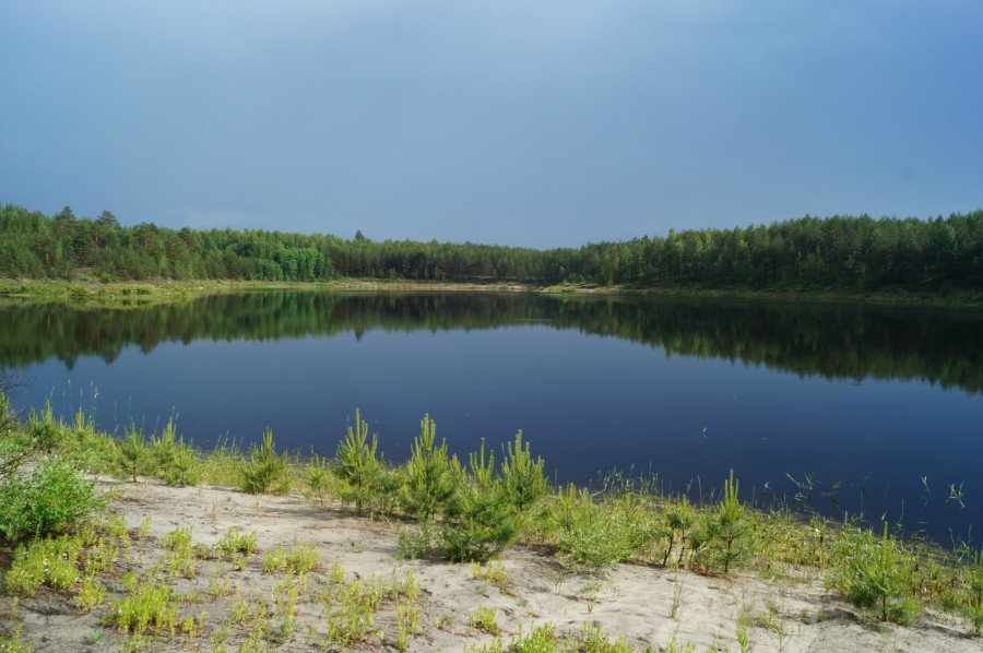 Озеро Травное (Чистое). Вид с северо-запада