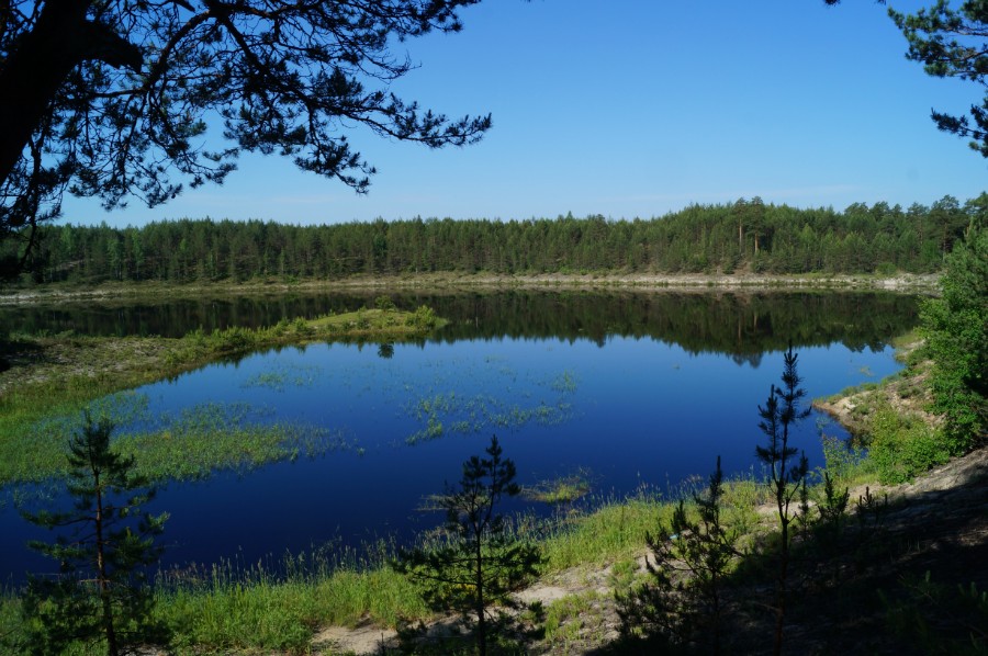 Вид с севера на озеро Травное (Чистое)