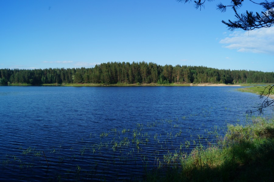 Озеро Большая Унзовка, фото 3
