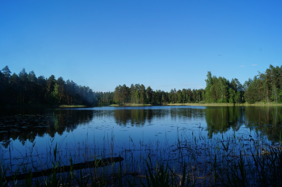 Озеро Нарша с южной стоянки