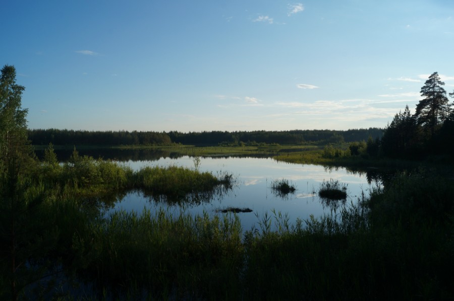 Озеро Унзово (Травное, Лебядино) фото 3