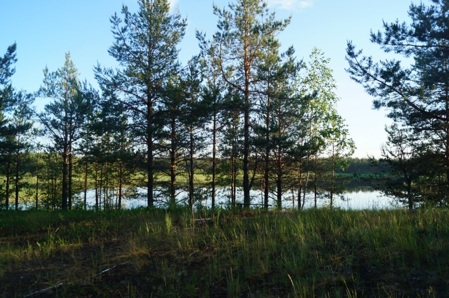 Озеро Унзово (Травное, Лебядино). Стоянка на мысочке