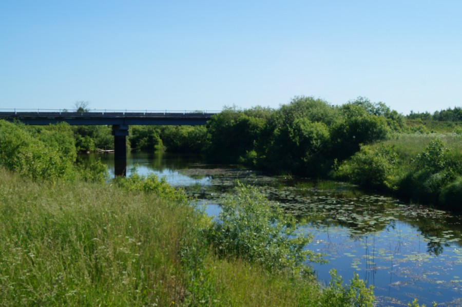 Мост через реку Рутка на дороге от села Старая Рудка к деревне Барышники, фото 2