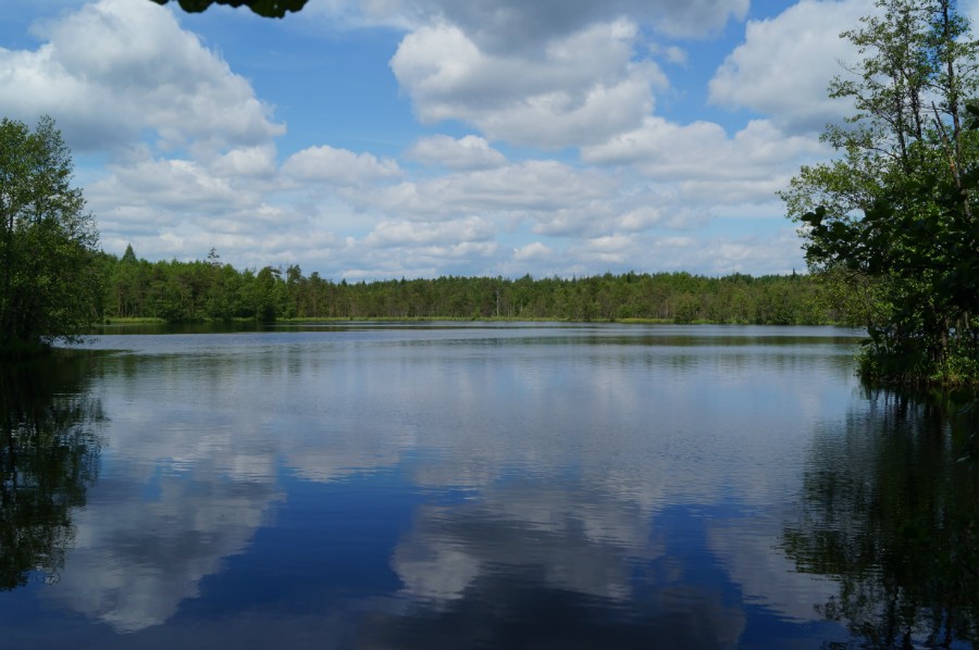 Озеро Моховое (Балахнинский район), вид на север. Фото 2