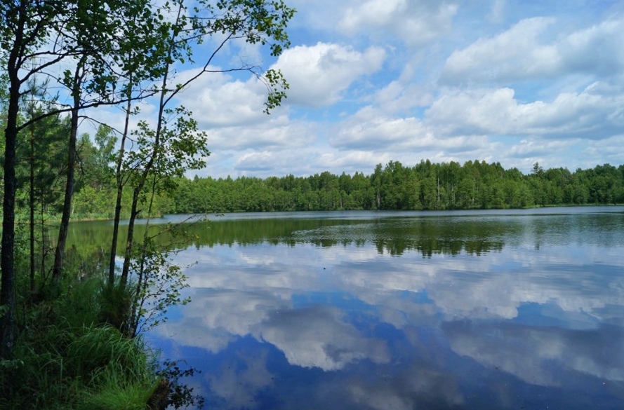 Озеро Глубокое (Балахнинский район), вид на северо-запад
