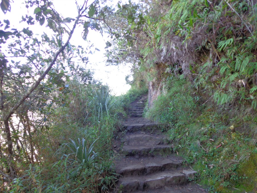 Тропа-лестница на вершину Уайна-Пикчу