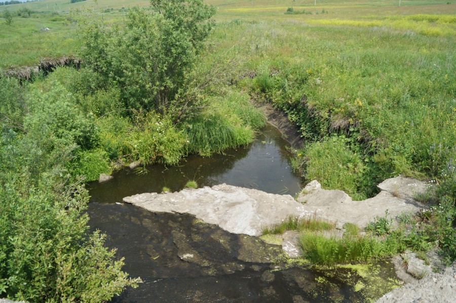 Река Большая Медяна. Фото с моста (плотины), из-под которого она вытекает