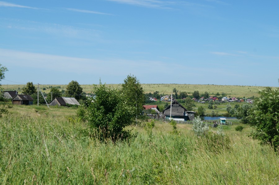 Северо-восточная сторона деревни Борцово