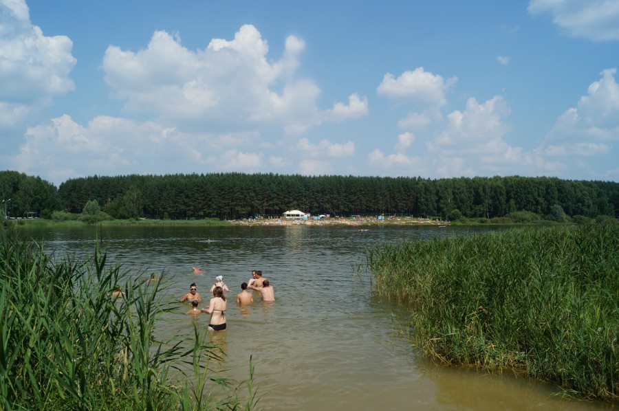 Березовский (Шумиловский) пруд
