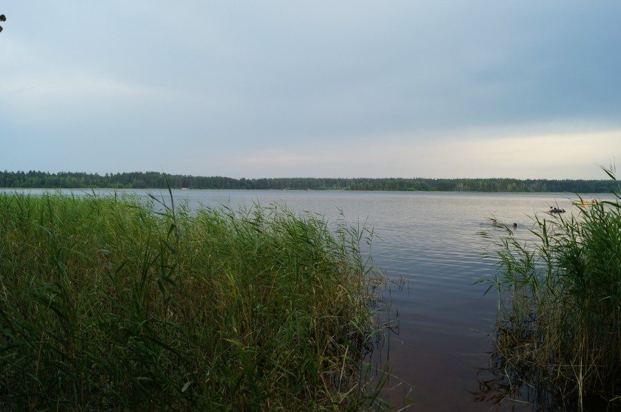 Озеро Большое Святое Дедовское, вид с северного берега. Фото 2