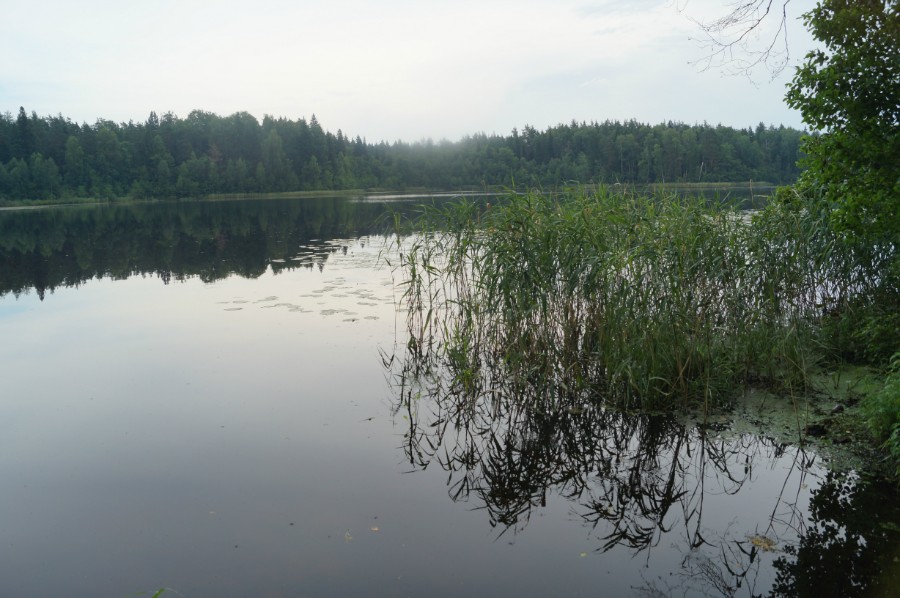 Вид на озеро Малое Святое Дедовское с северо-западной стоянки, фото 2