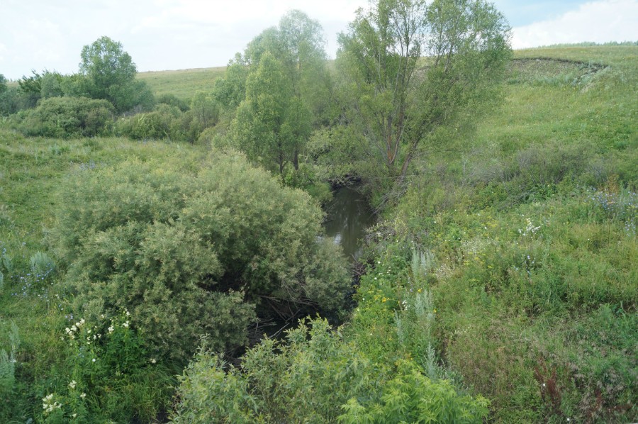 Река Пьяна у моста между Баженовкой и Булдаково. Фото 2