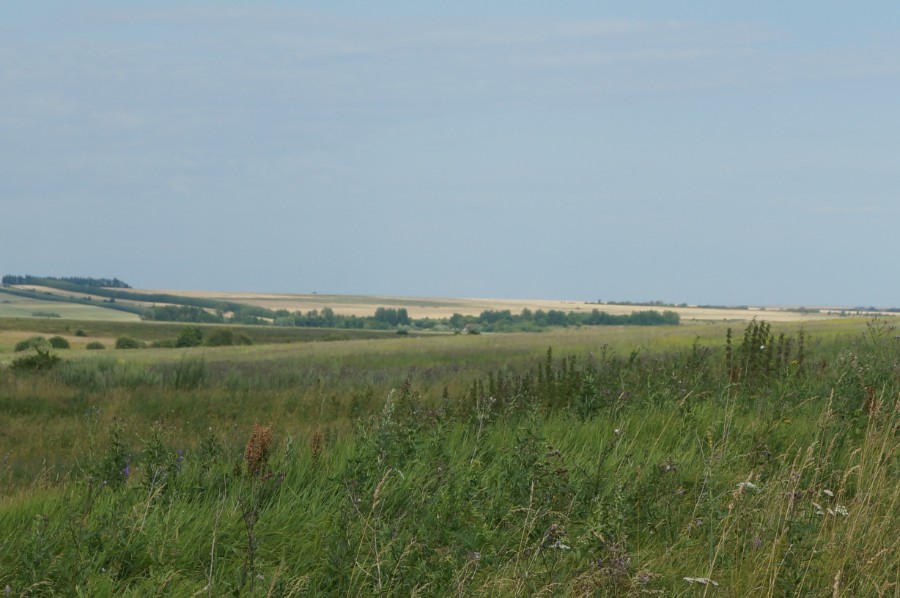 Вид от Старцева Угла в сторону деревни Ротманово (в 4 км). Фото 2