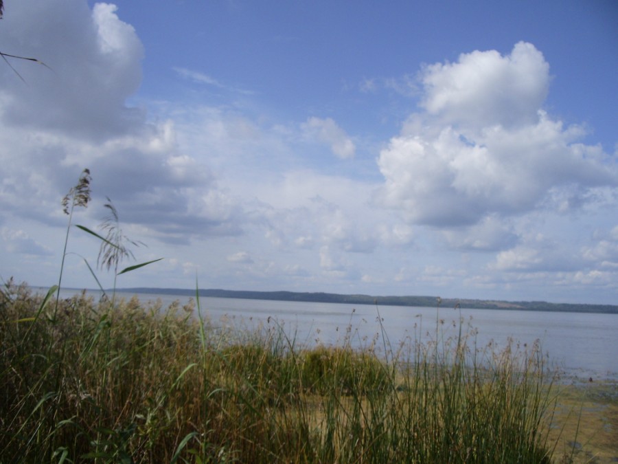 Галичское озеро, фото 2