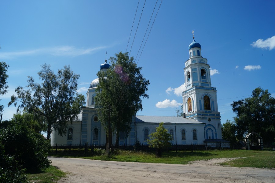 Церковь Троицы Живоначальной в селе Саконы (Троицкая церковь)
