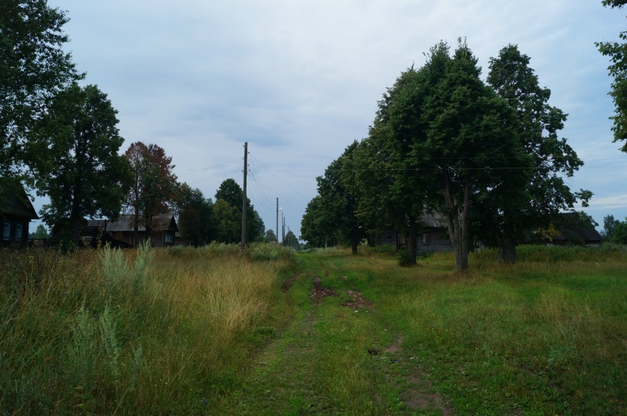 Деревня Большая Юронга, фото с севера