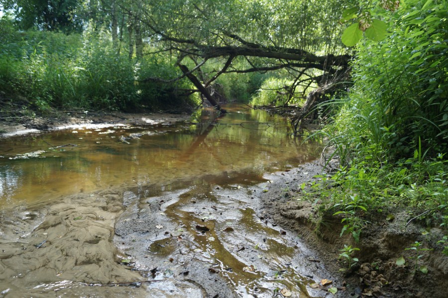 Место впадения в Канергу родникового ручья, текущего от стоянки в урочище Моляны. Фото 2