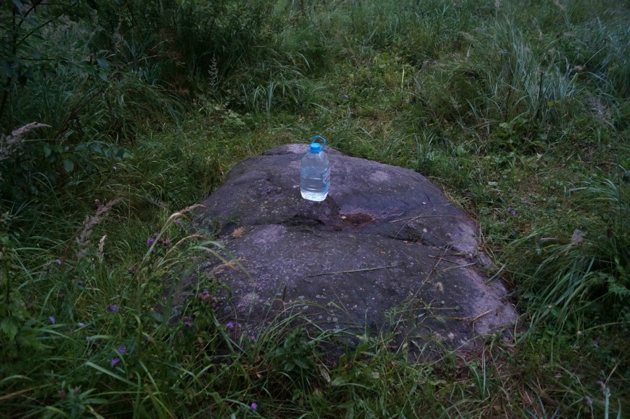 Грановой (Молянский) камень после дождя. Фото 2