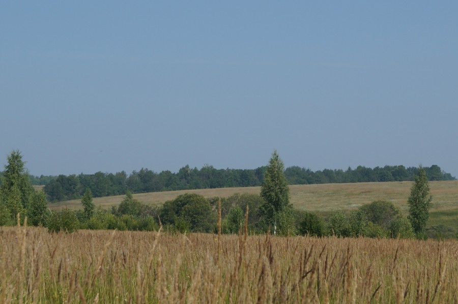 Мордовская священная роща Явлей. Вид с дороги Лукоянов-Болдино. 2.5 км Фото 3