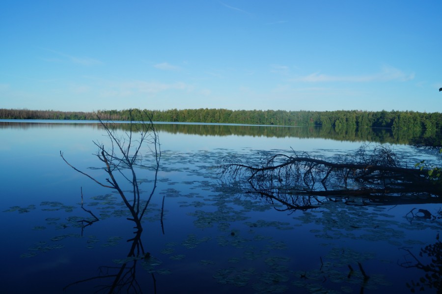 Озеро Черное.На восходе. Фото 2