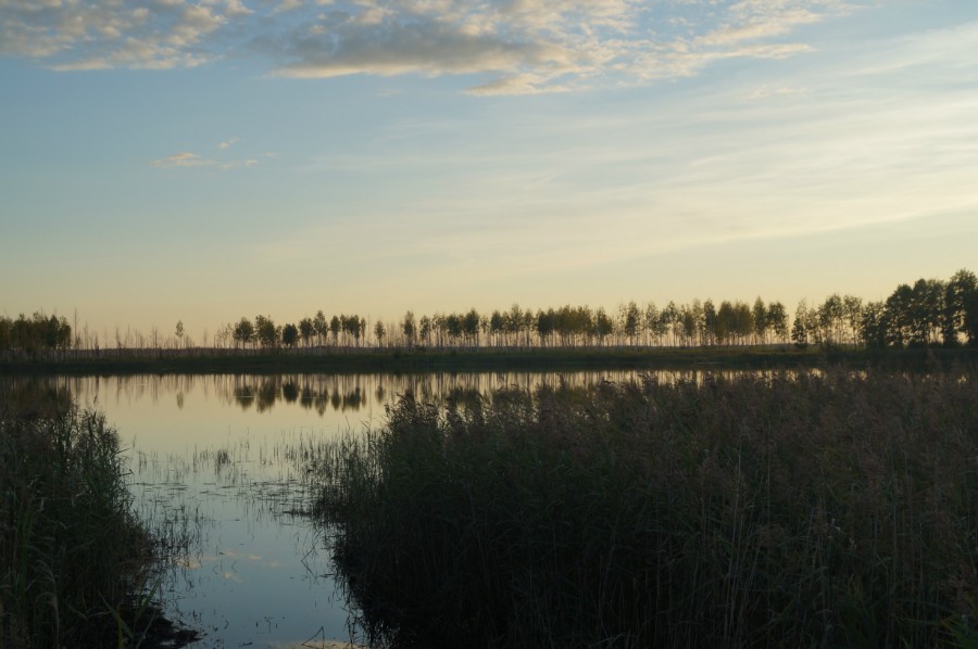 Озеро Камское. На закате. Фото 2