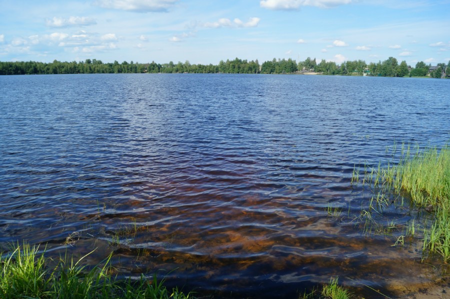 Озеро Кузьмияр. Фото с южного берега