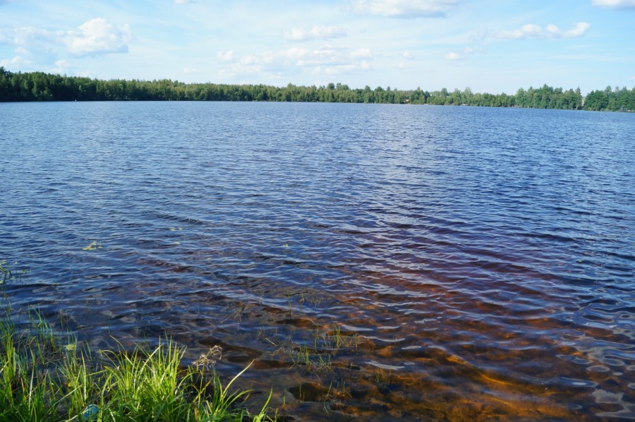 Озеро Кузьмияр с южного берега. Фото 2
