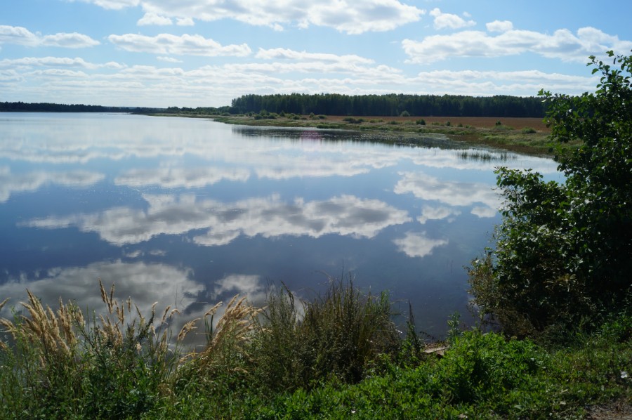 Чупалейский пруд. Фото 2