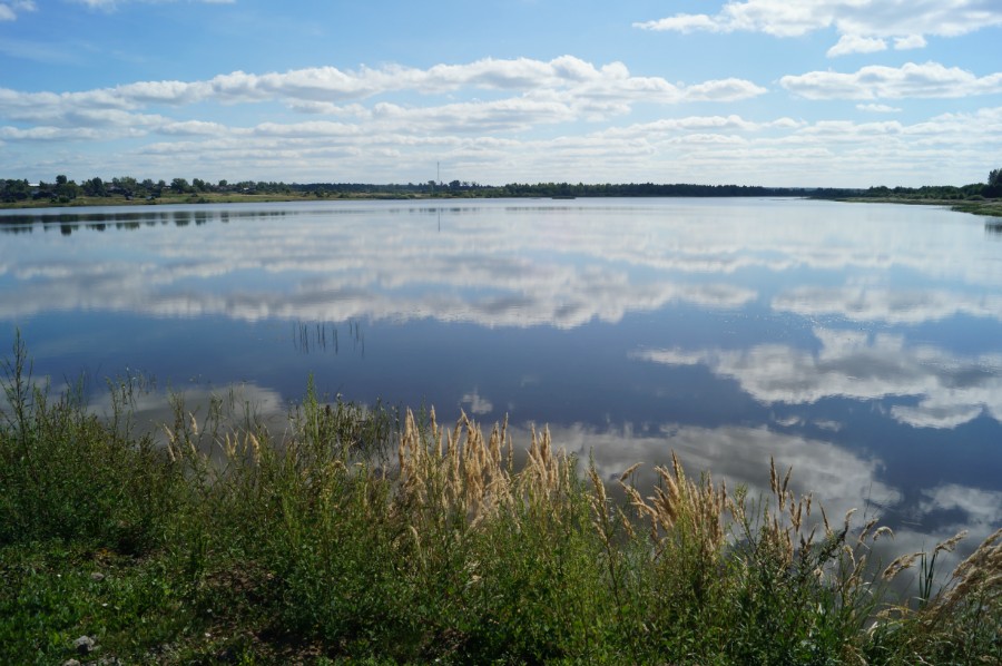 Чупалейский пруд. Фото 3