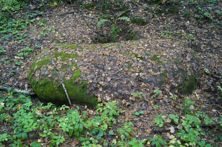 Разинский (Панзелский) камень. Фото 2