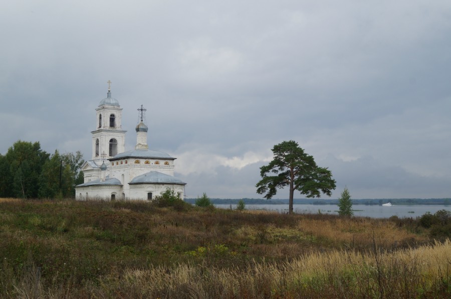 Церковь Казанской иконы Божией Матери и Сосна Хмелевская