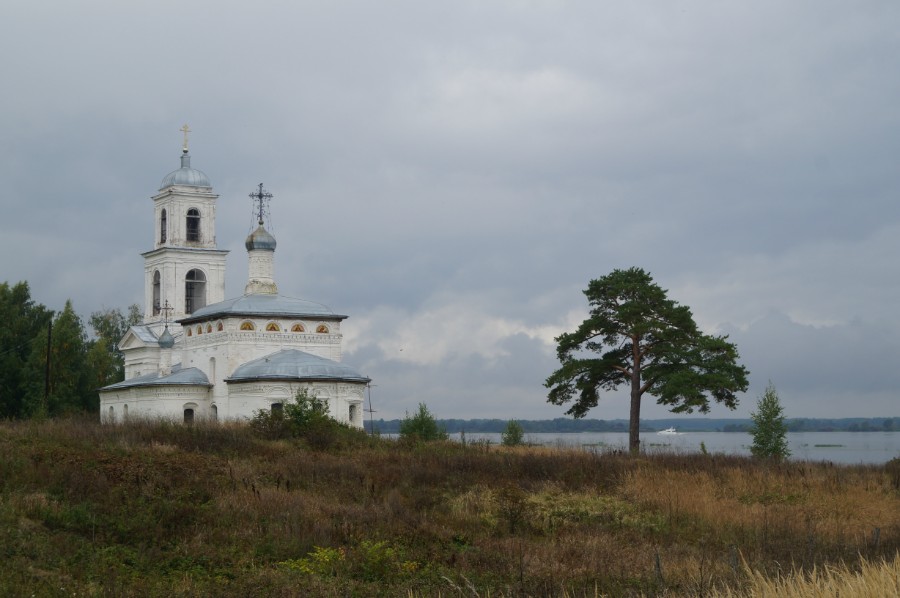 Церковь Казанской иконы Божией Матери и Сосна Хмелевская. Фото 2